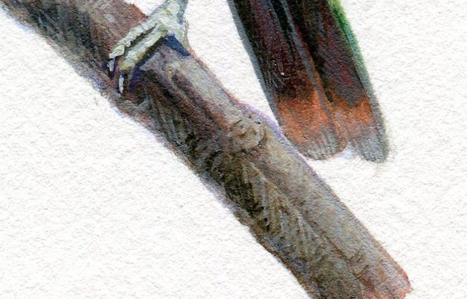 Dina Brodsky, Grüner Vogel, realistische Gouache auf Papier Tierminiatur, 2018 im Angebot 6