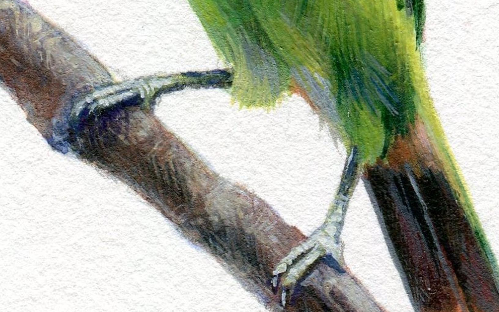 Dina Brodsky, Grüner Vogel, realistische Gouache auf Papier Tierminiatur, 2018 im Angebot 2