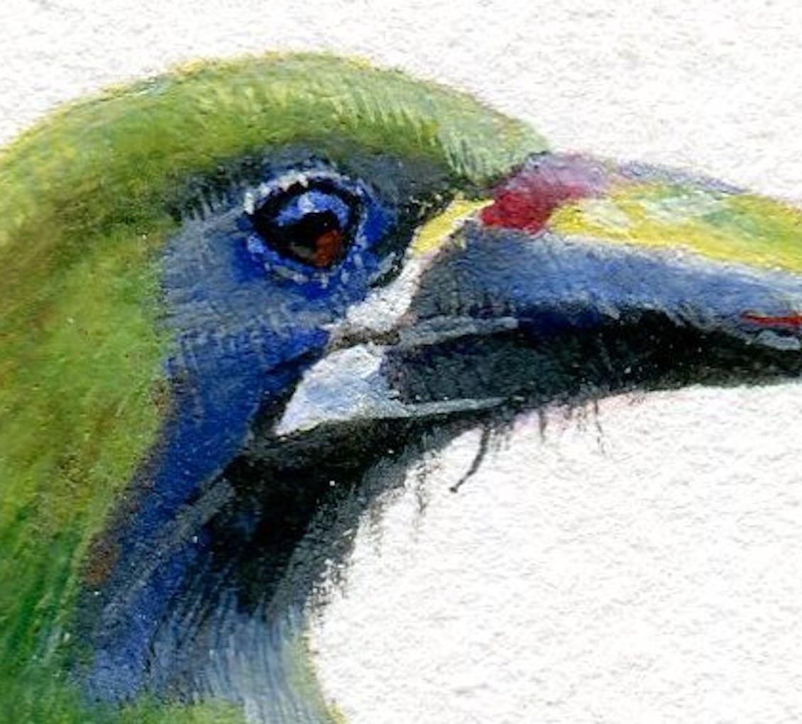 Dina Brodsky, Grüner Vogel, realistische Gouache auf Papier Tierminiatur, 2018 im Angebot 5
