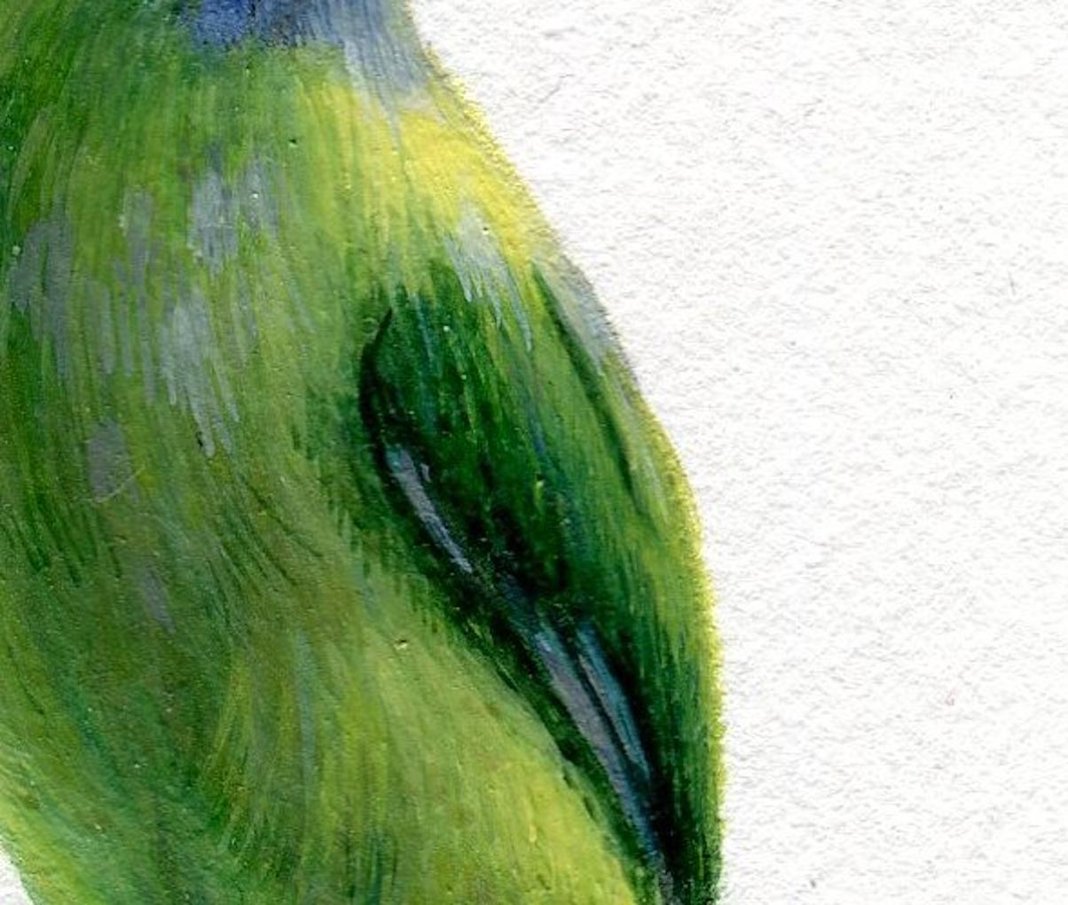 Dina Brodsky, Grüner Vogel, realistische Gouache auf Papier Tierminiatur, 2018 im Angebot 4
