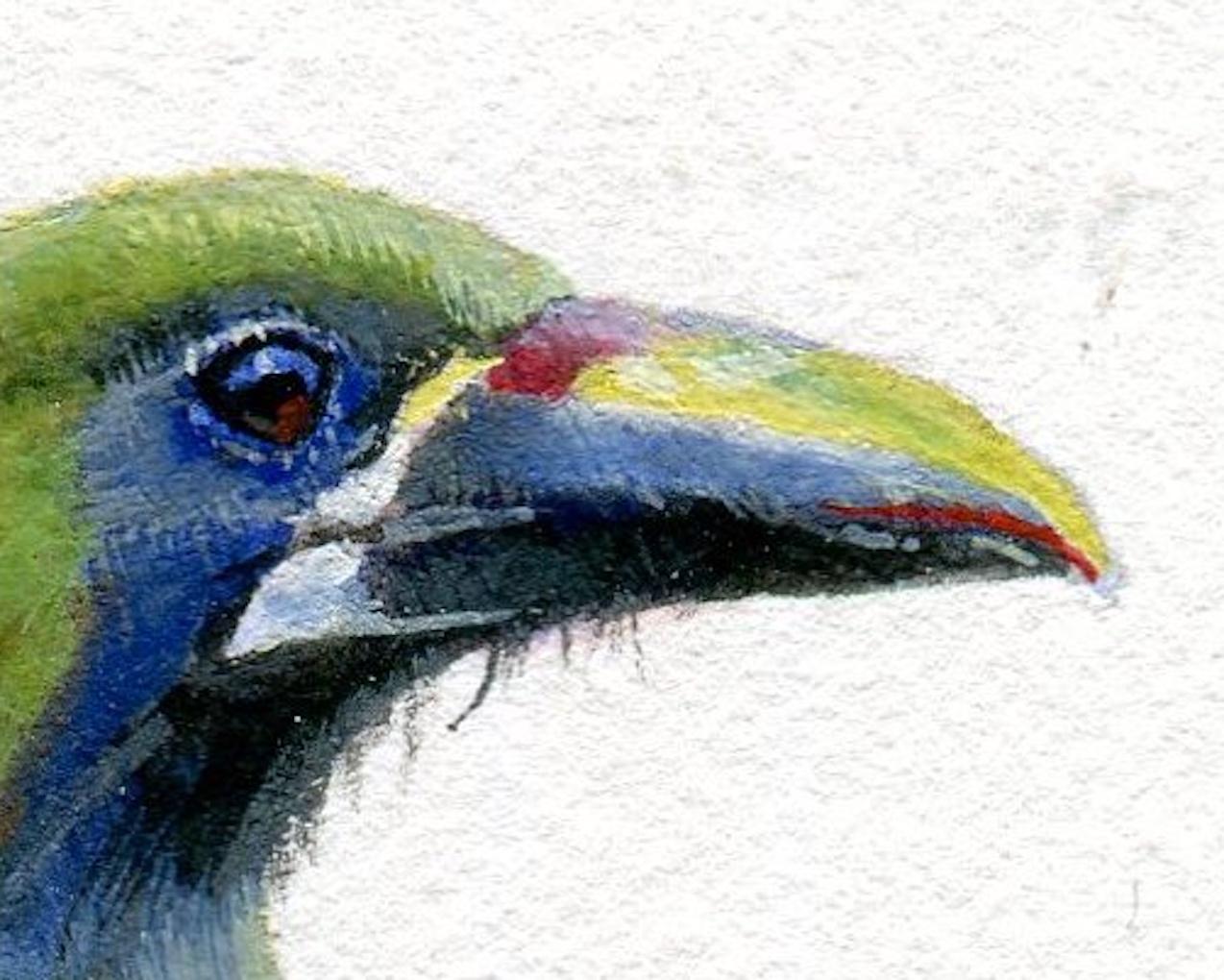 Dina Brodsky, Grüner Vogel, realistische Gouache auf Papier Tierminiatur, 2018 im Angebot 7