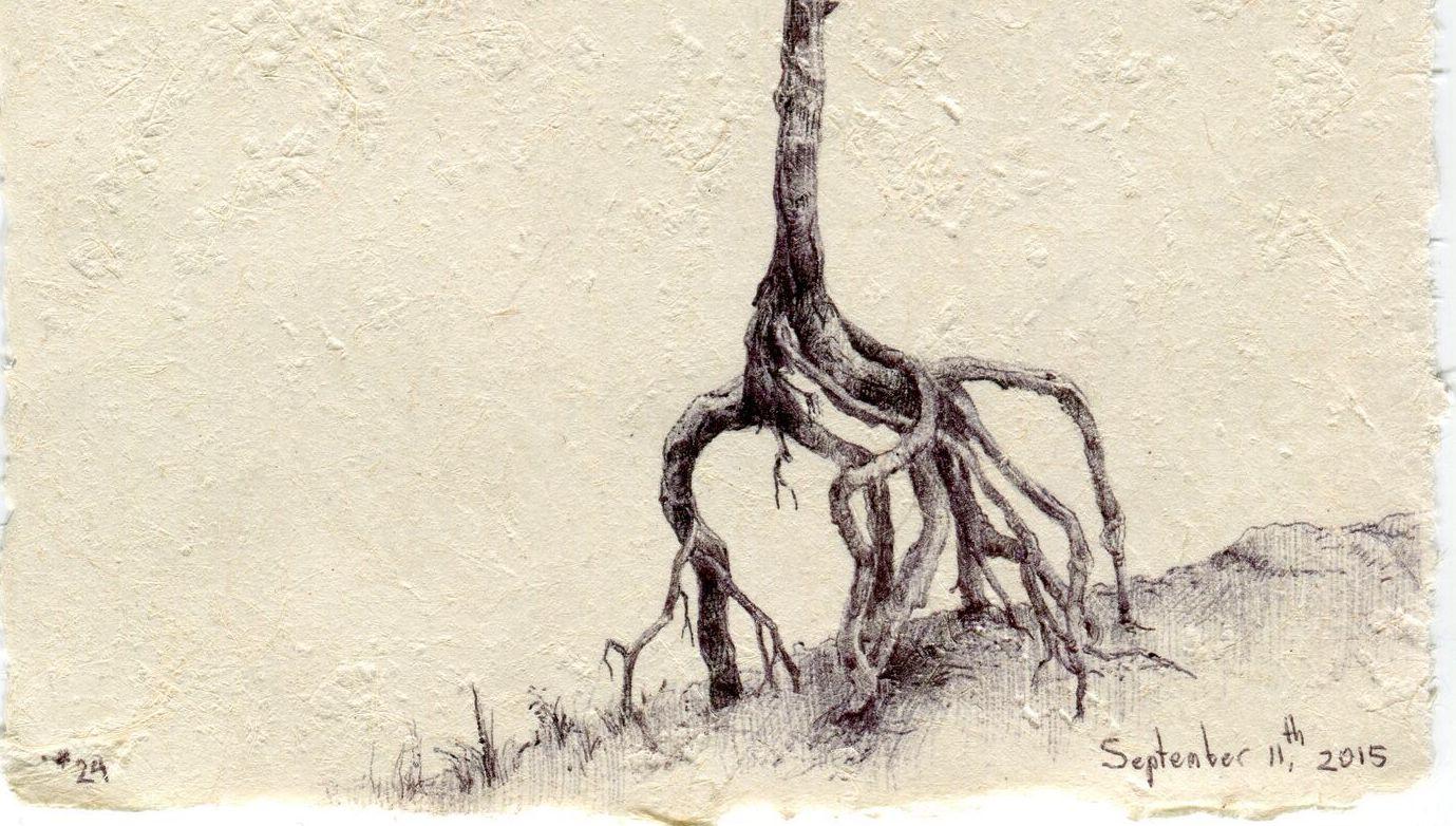 Dina Brodsky, Tree No. 24, Ballpoint pen on paper figurative miniature, 2015 2