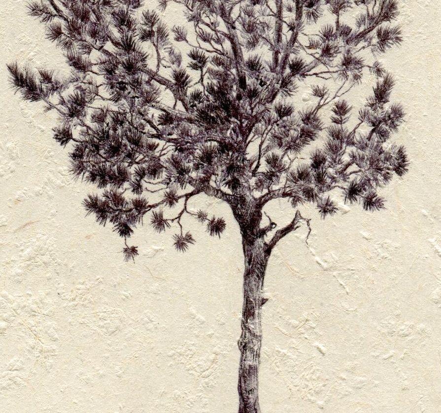 Dina Brodsky, Tree No. 24, Ballpoint pen on paper figurative miniature, 2015 3