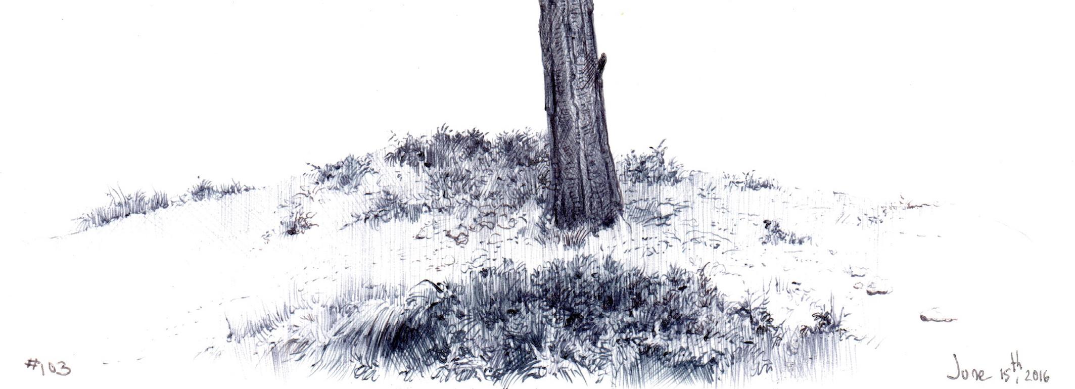 Dina Brodsky, Baum Nr. 103, 15. Juni 2016, Landschaftszeichnung mit Tinte auf Papier im Angebot 1