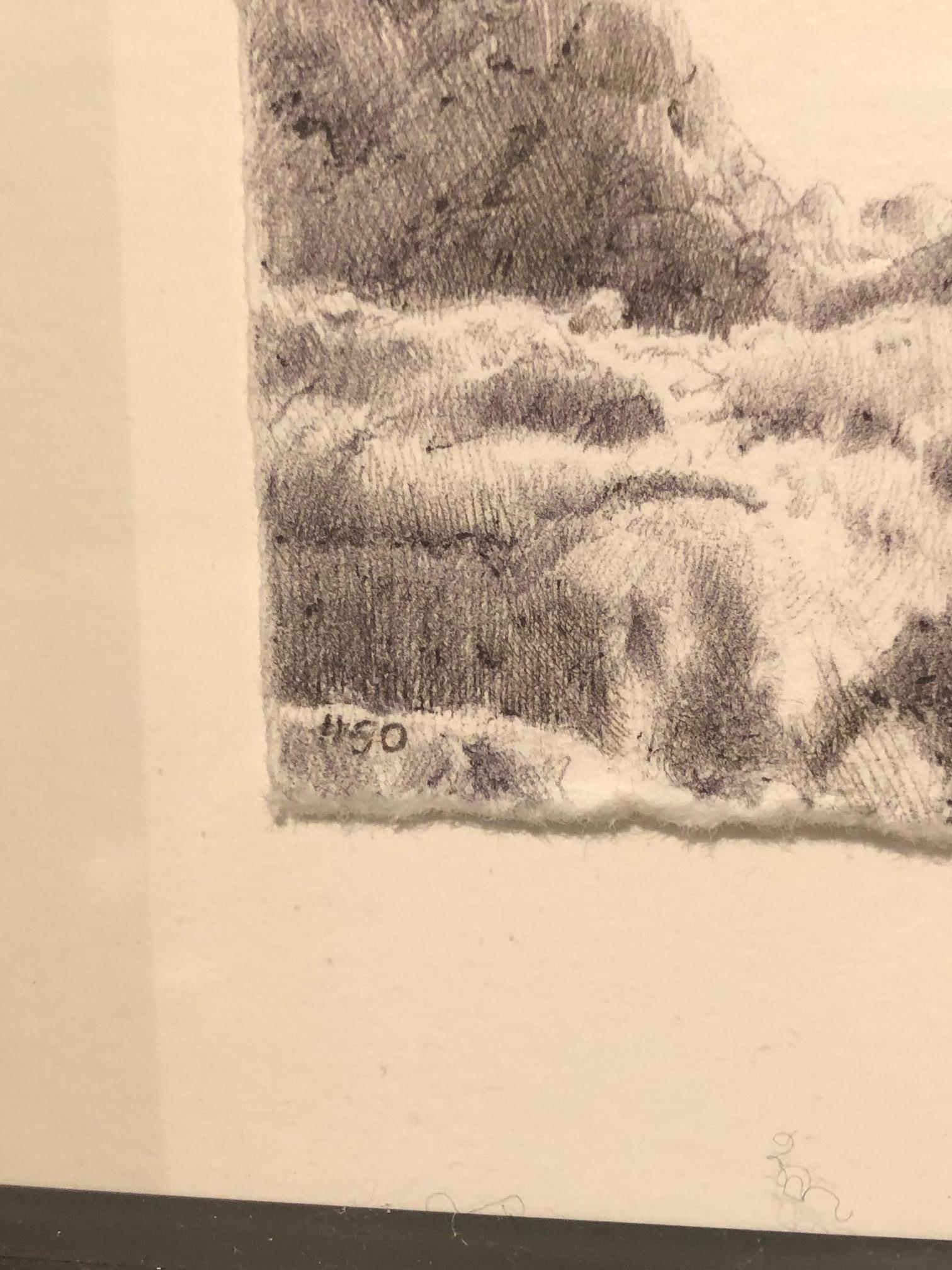 Dans Tree No. 50 , 6 janvier 2016, Dina Brodsky utilise le stylo à bille pour doter son sujet d'un sentiment presque graphique. Le contraste élevé entre l'encre noire et le papier blanc neigeux donne à l'arbre stérile une allure d'outre-monde,