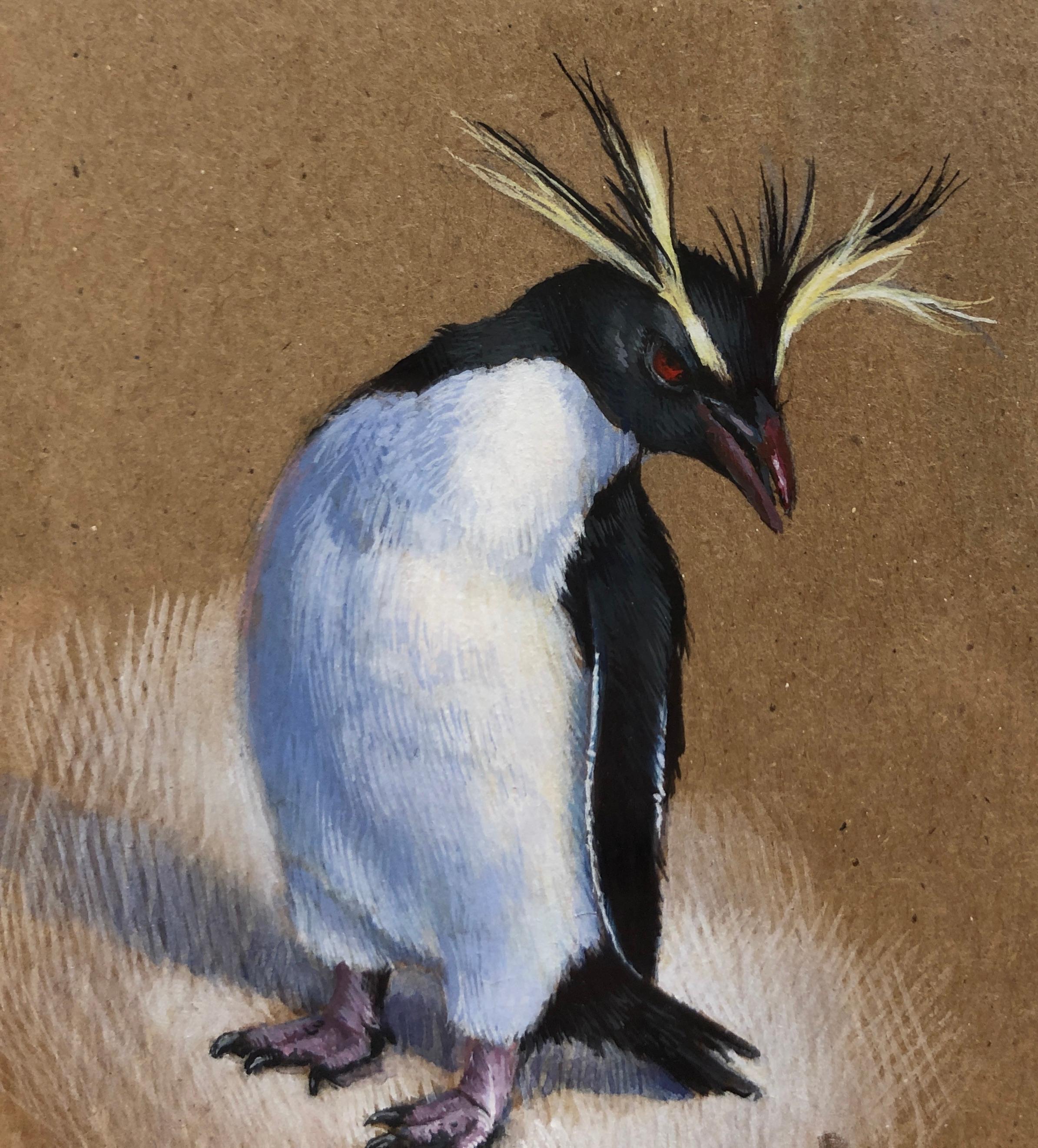 Dina Brodsky, Rockhopper Penguin, realist animal watercolor on paper, 2019 1