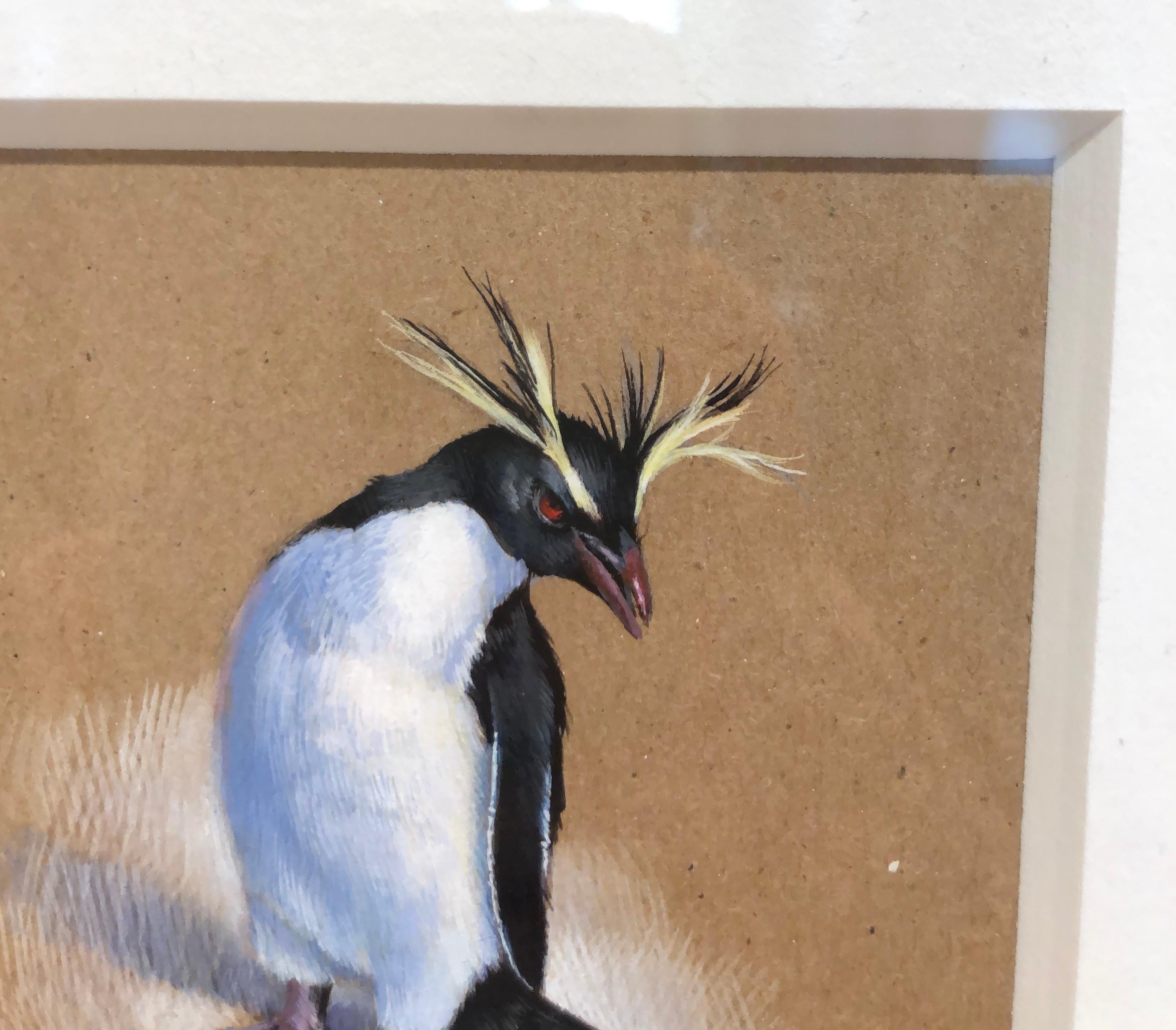 Dina Brodsky, Rockhopper Penguin, realist animal watercolor on paper, 2019 3