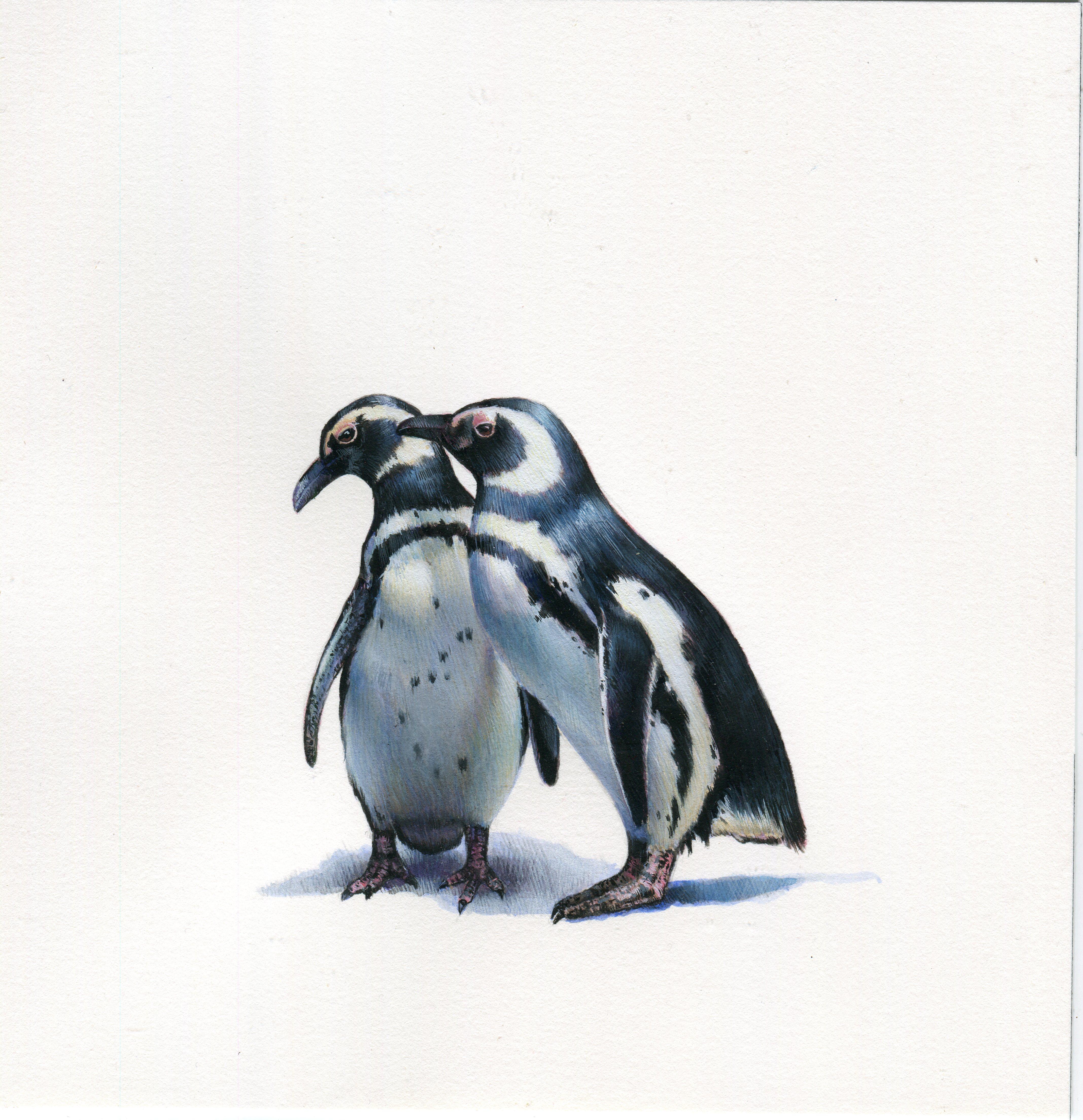 Two Penguins, contemporary realist animal watercolor on paper