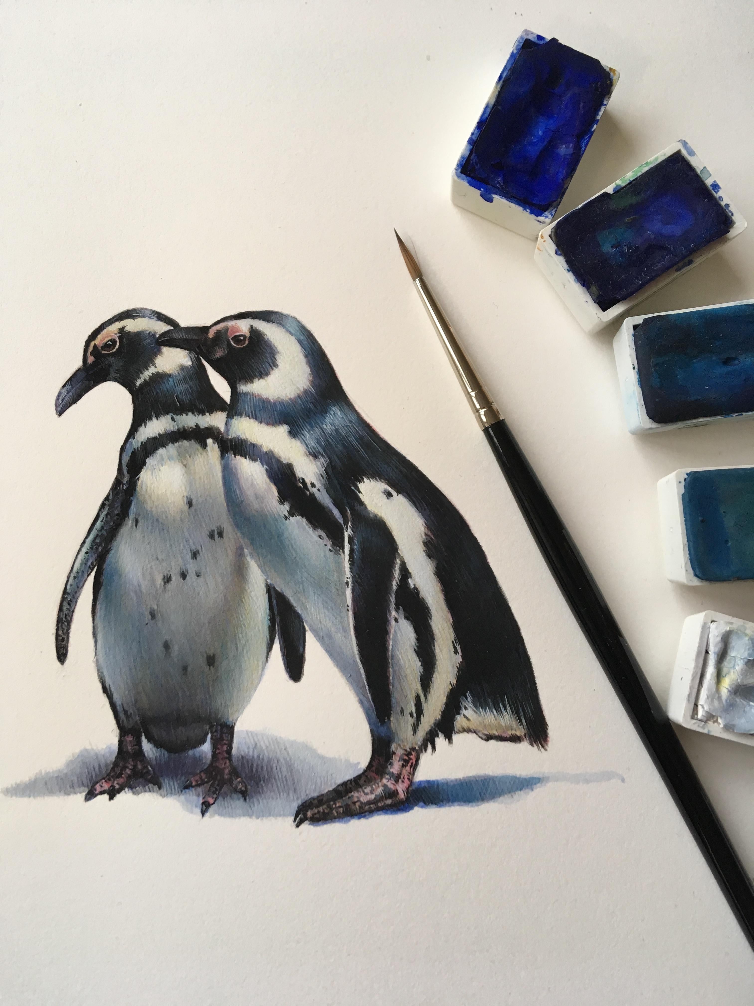 Two Penguins, contemporary realist animal watercolor on paper - Art by Dina Brodsky