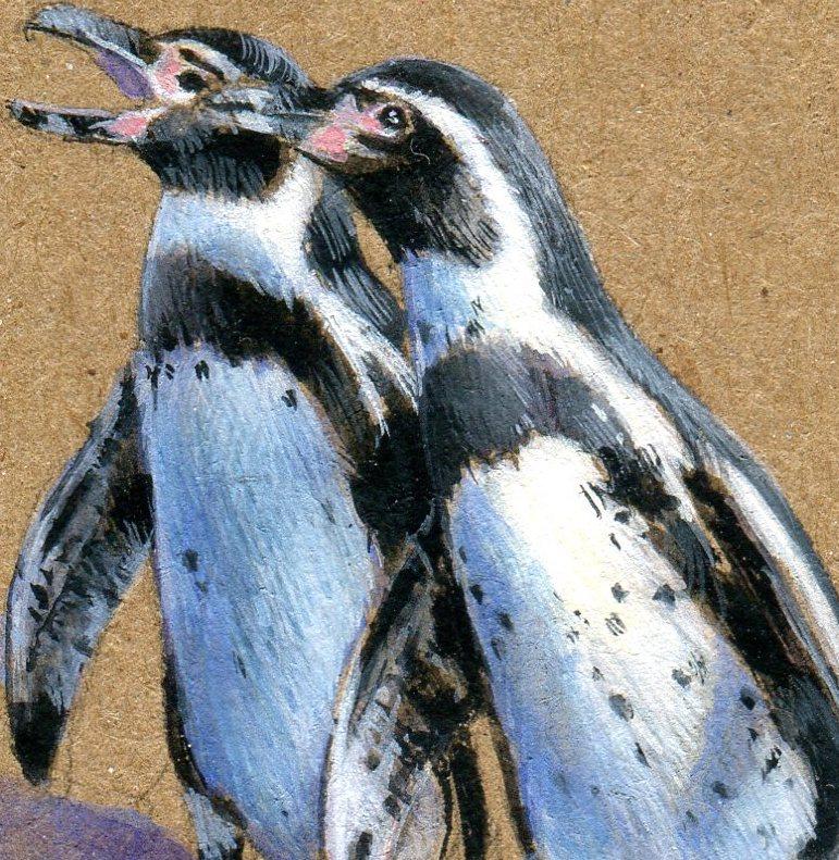 Squabbling Penguins, contemporary realist animal watercolor on paper - Art by Dina Brodsky