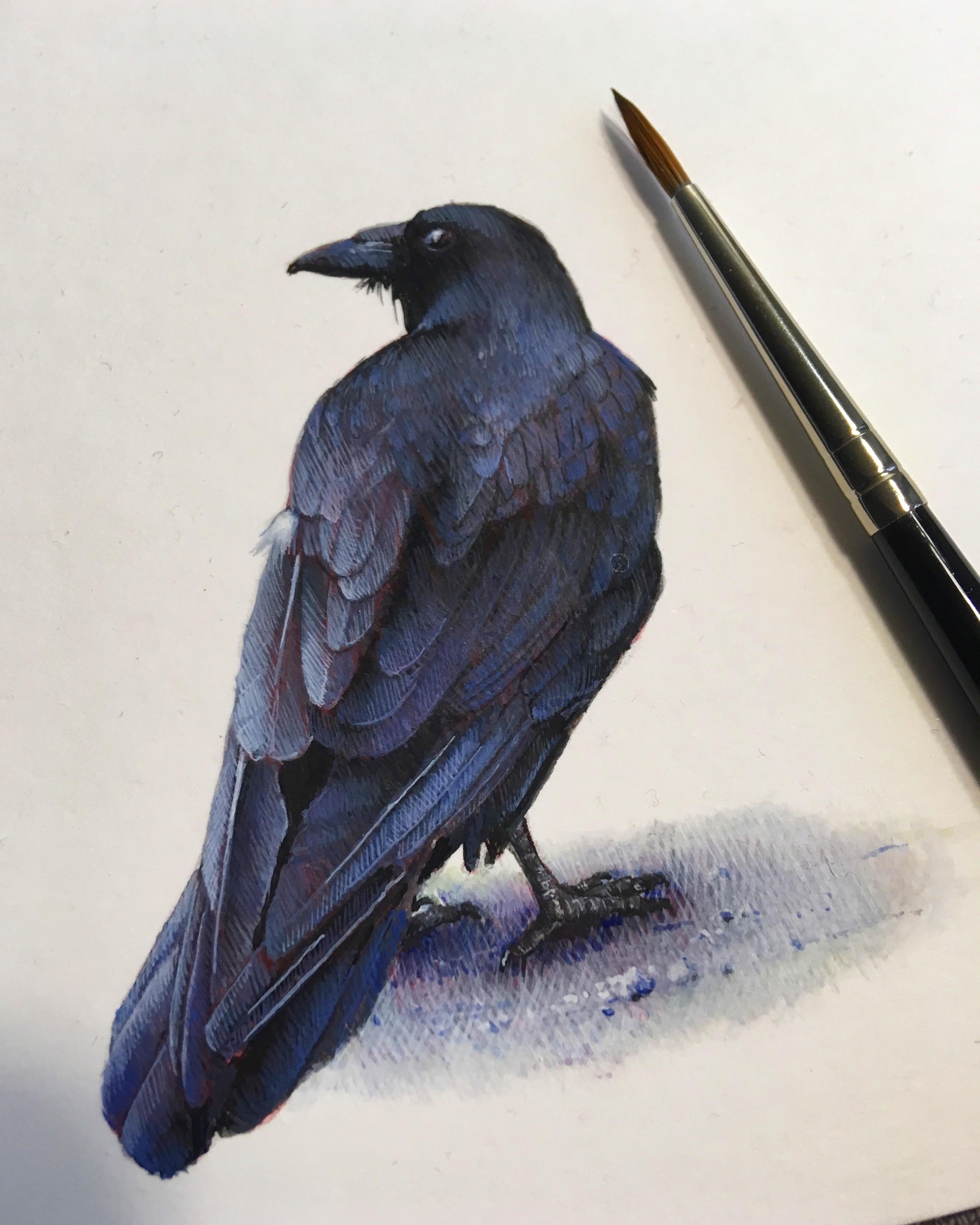 Raven, contemporary realist animal watercolor on paper - Art by Dina Brodsky