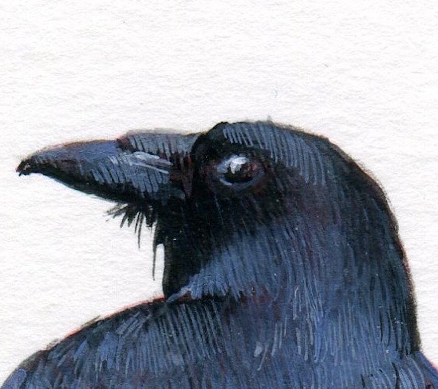 raven watercolor