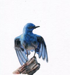 Dina Brodsky, Bluebird, realist animal watercolor on paper, 2019