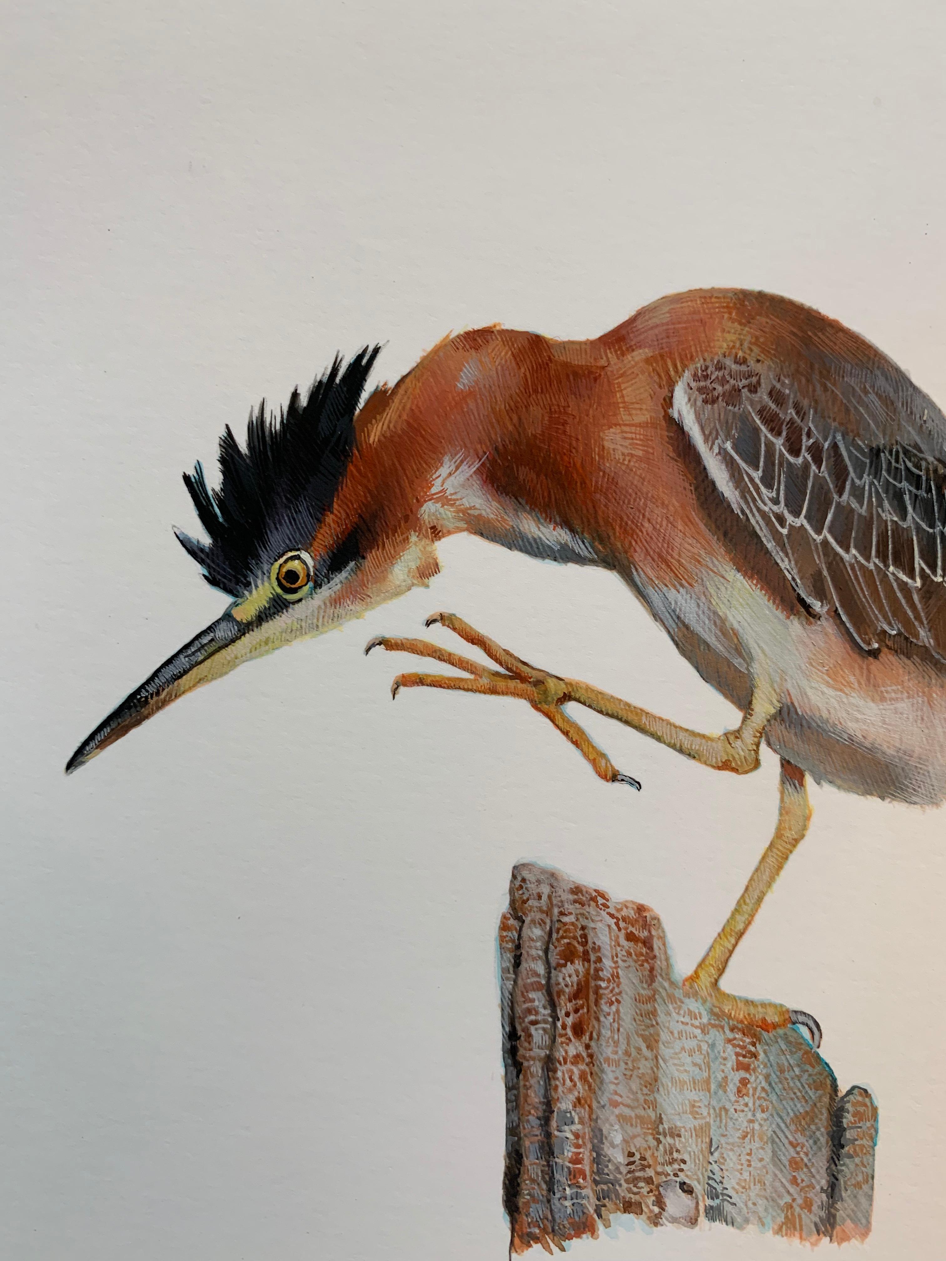 Shore Bird, contemporary realist animal watercolor on paper - Art by Dina Brodsky