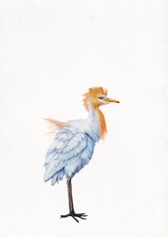 Watercolour Animal Drawings and Watercolours