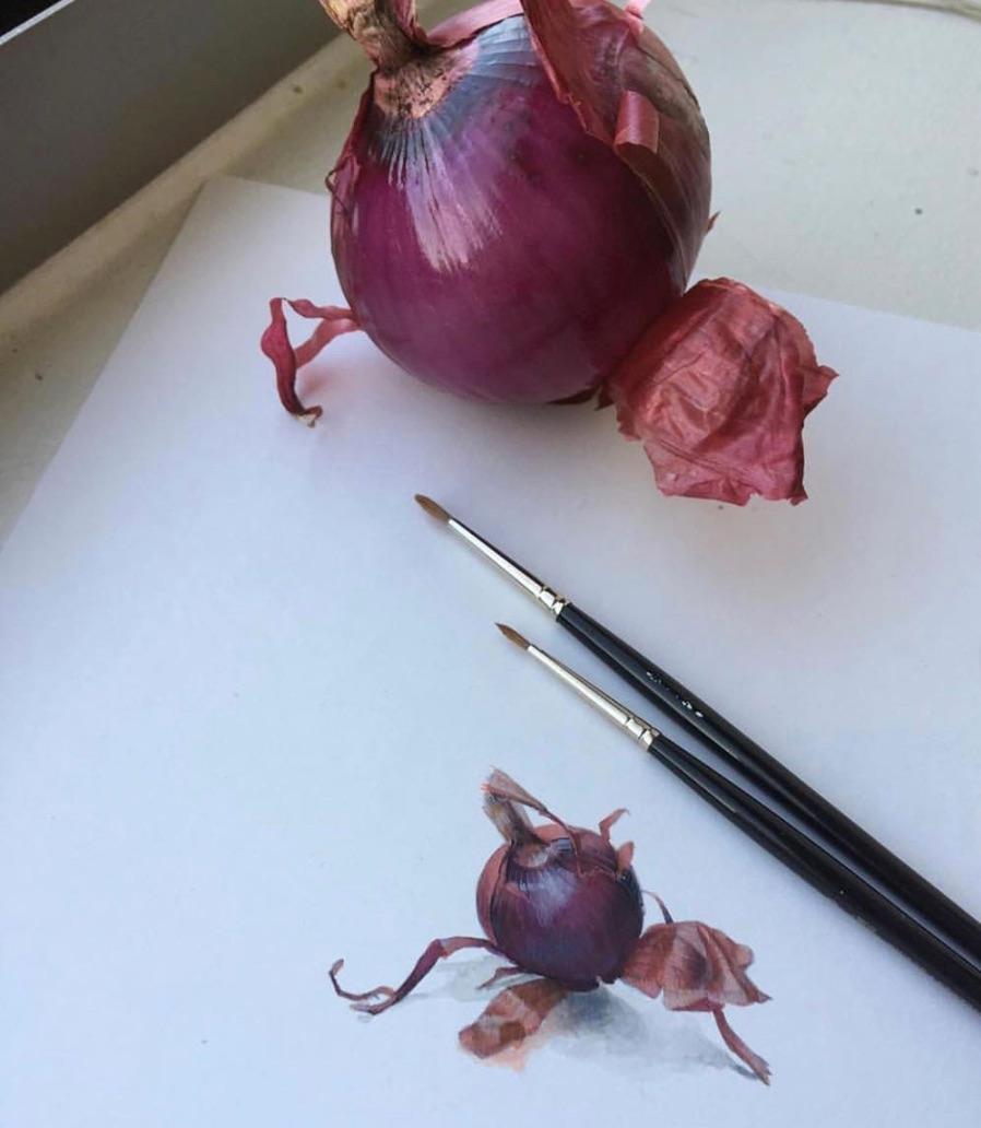 Dina Brodsky, Onion, realist watercolor and gouache still life, 2019 1