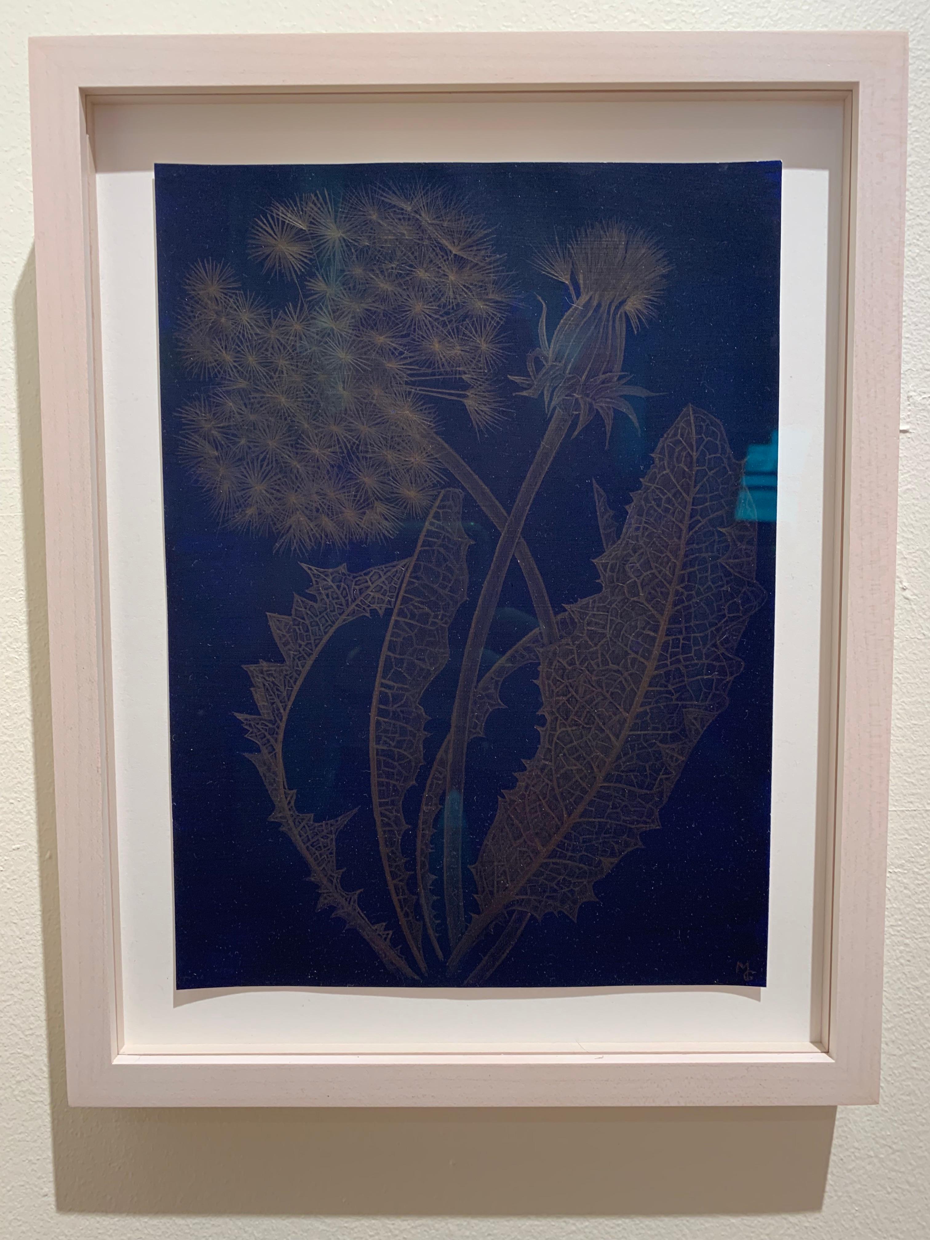 Margot Glass, Blue Dandelion, realist gold point still-life drawing, 2019 1