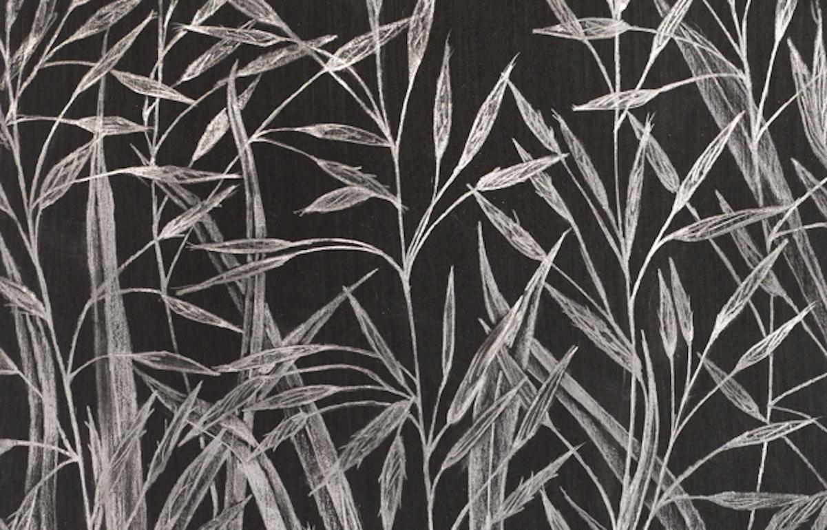 Margot Glass, Grasses, realist graphite on paper still-life drawing, 2019 1