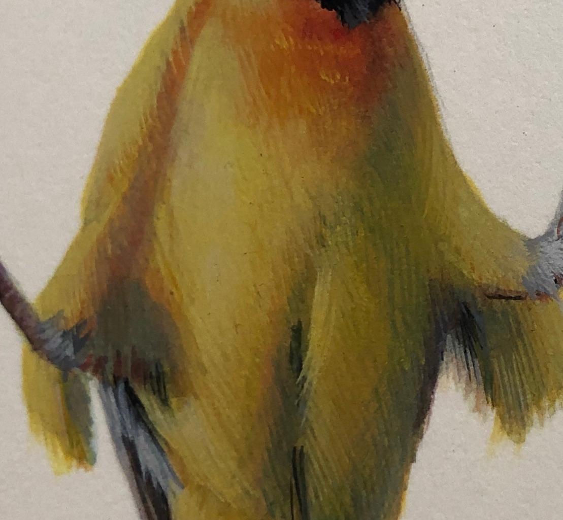 Gelber Vogel Akimbo, zeitgenössisches realistisches Tierporträt aus Gouache (Amerikanischer Realismus), Art, von Dina Brodsky