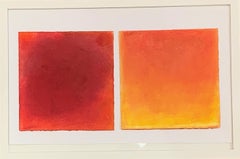 Daisy Craddock, Heirloom Study, abstract colorfield fruit pastel on paper