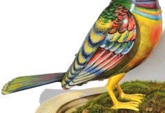 David Morrison, Wind-Up Bird No. 1, animale iperrealista a matita colorata, 2019