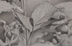Buds et feuilles, dessin floral photoréaliste au graphite, 2018