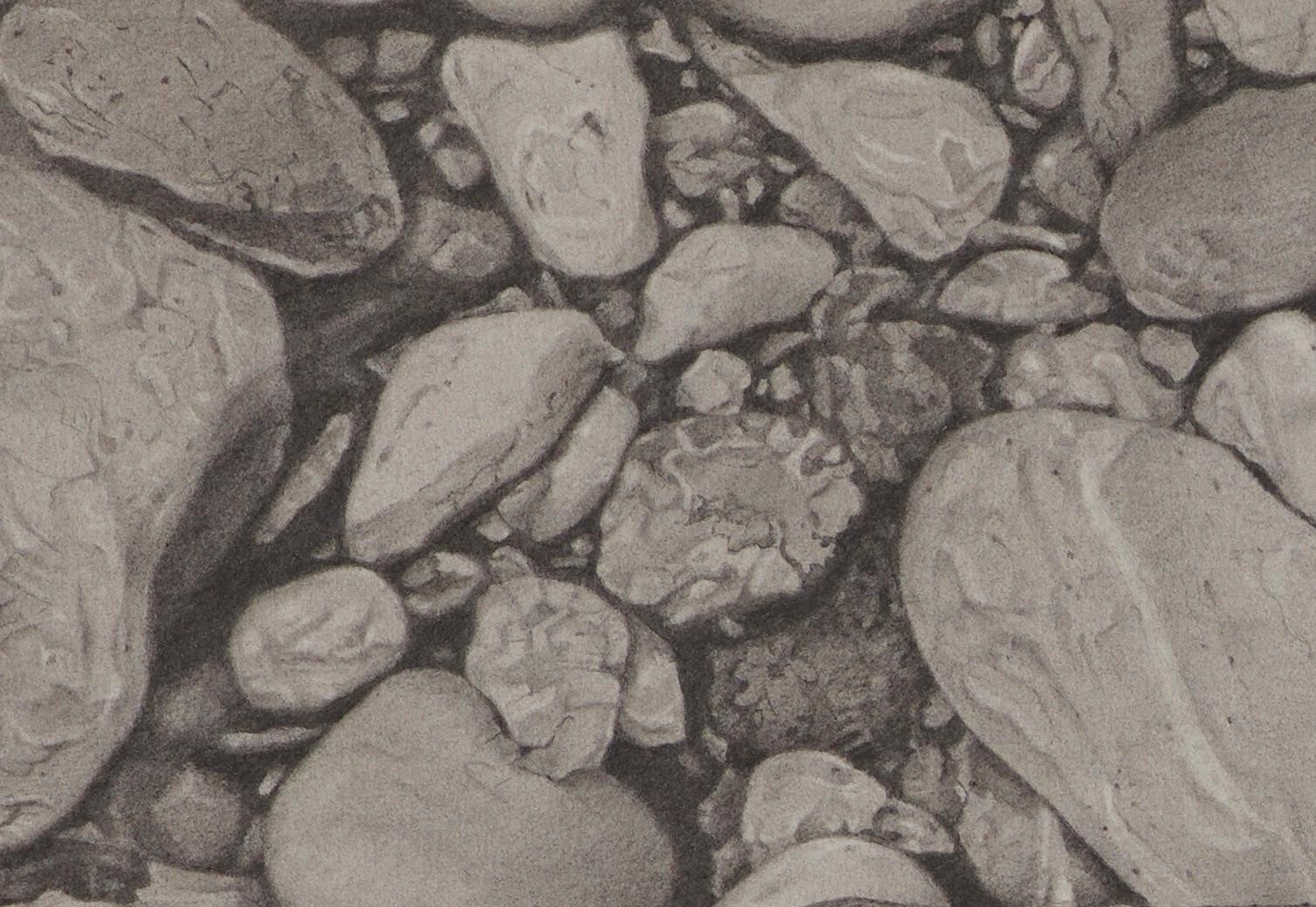 Riverbank 2, photorealist graphite nature drawing, 2018 - Art by Mary Reilly