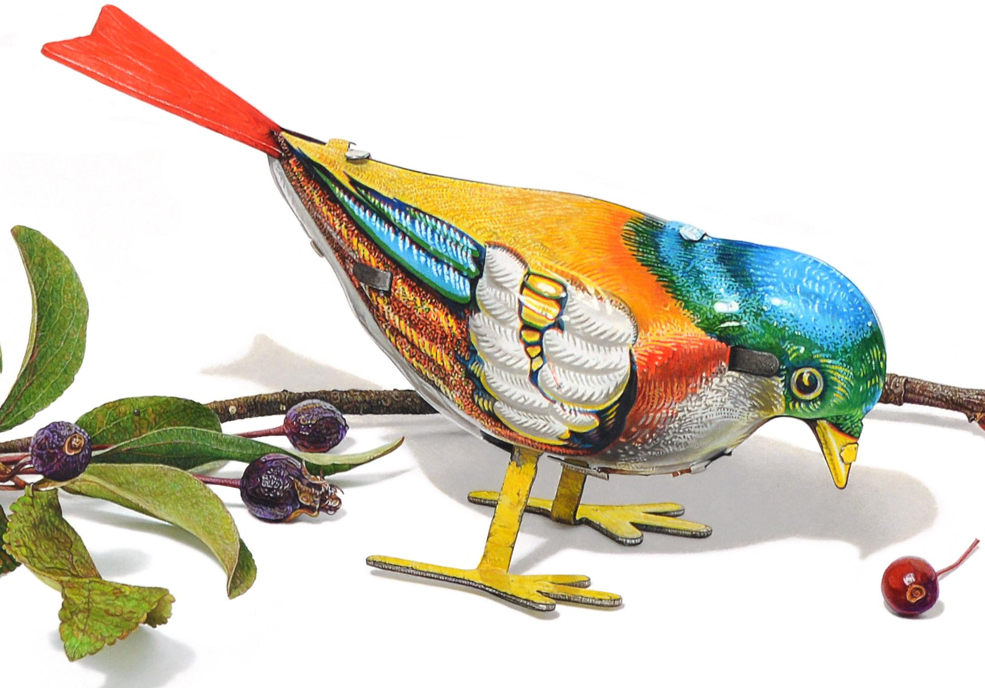 David Morrison, Oiseau à remontoir n° 5, dessin d'animal au crayon en couleur hyperréaliste en vente 1