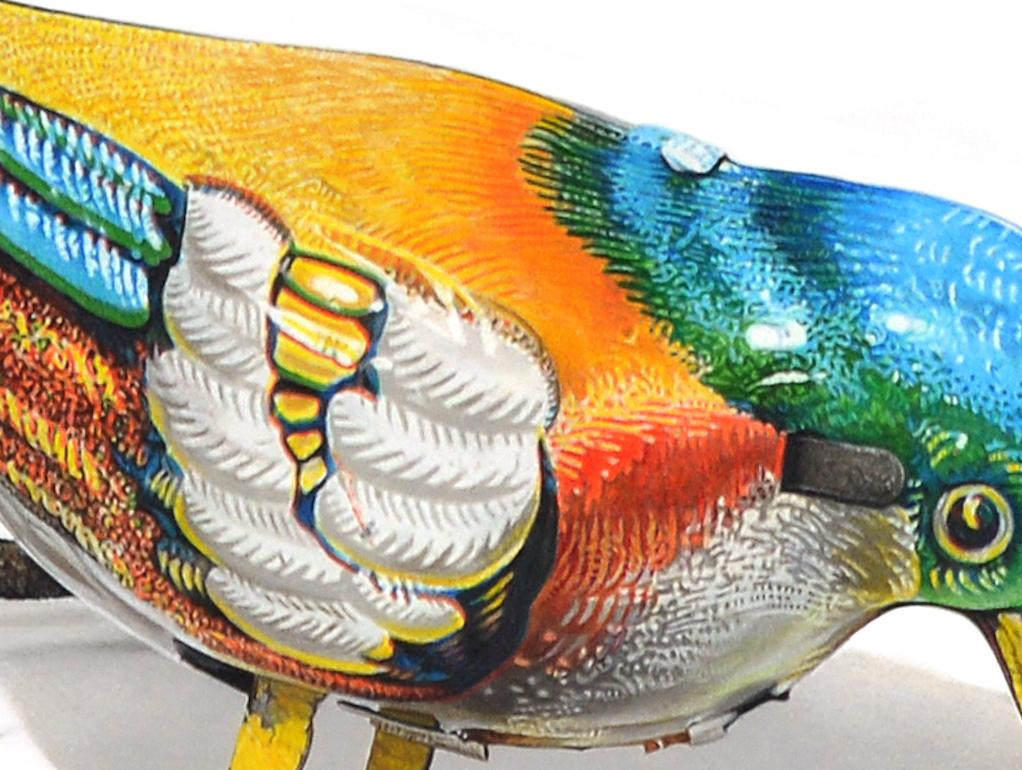 David Morrison, Wind-Up Bird No. 5, hyperrealist color pencil animal drawing For Sale 1