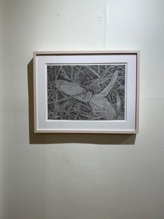 Corn Field 2, gray photorealist graphite still life drawing, 2019