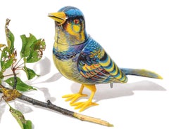 David Morrison, Wind-Up Bird No. 6, hyperrealist color pencil animal drawing