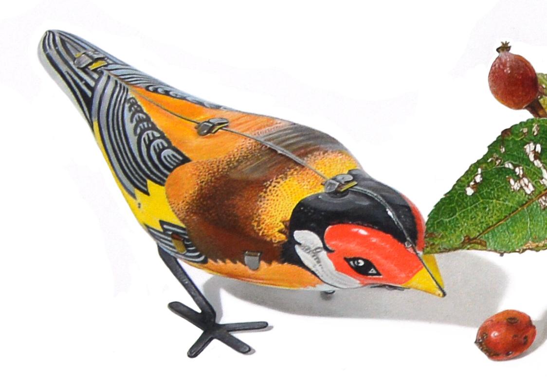 David Morrison, Oiseau à remontoir n° 6, dessin d'animal au crayon en couleur hyperréaliste en vente 3