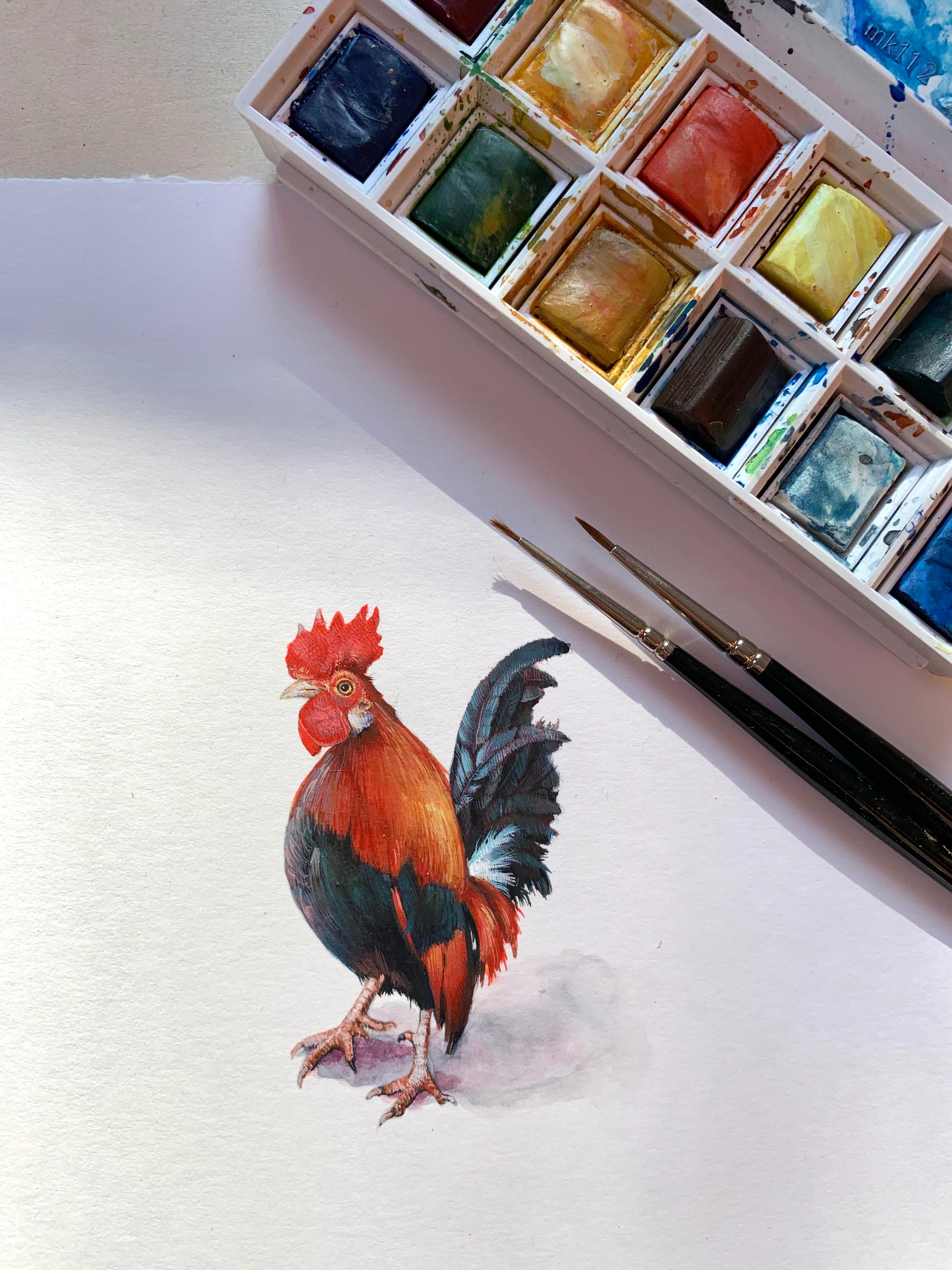 Rooster, contemporary realist gouache on paper animal miniature - Art by Dina Brodsky