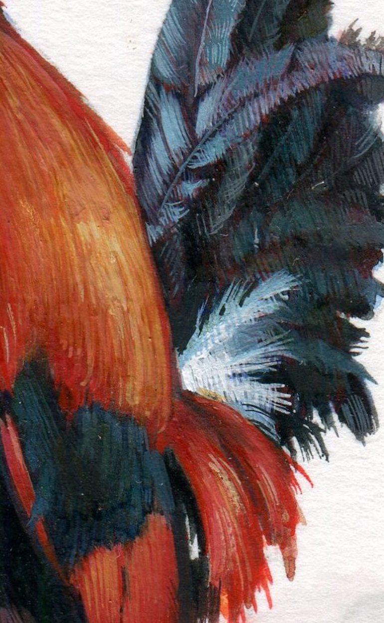 Gallo, gouache realista contemporanea su carta, miniatura di animale - Animal Art Bianco di Dina Brodsky