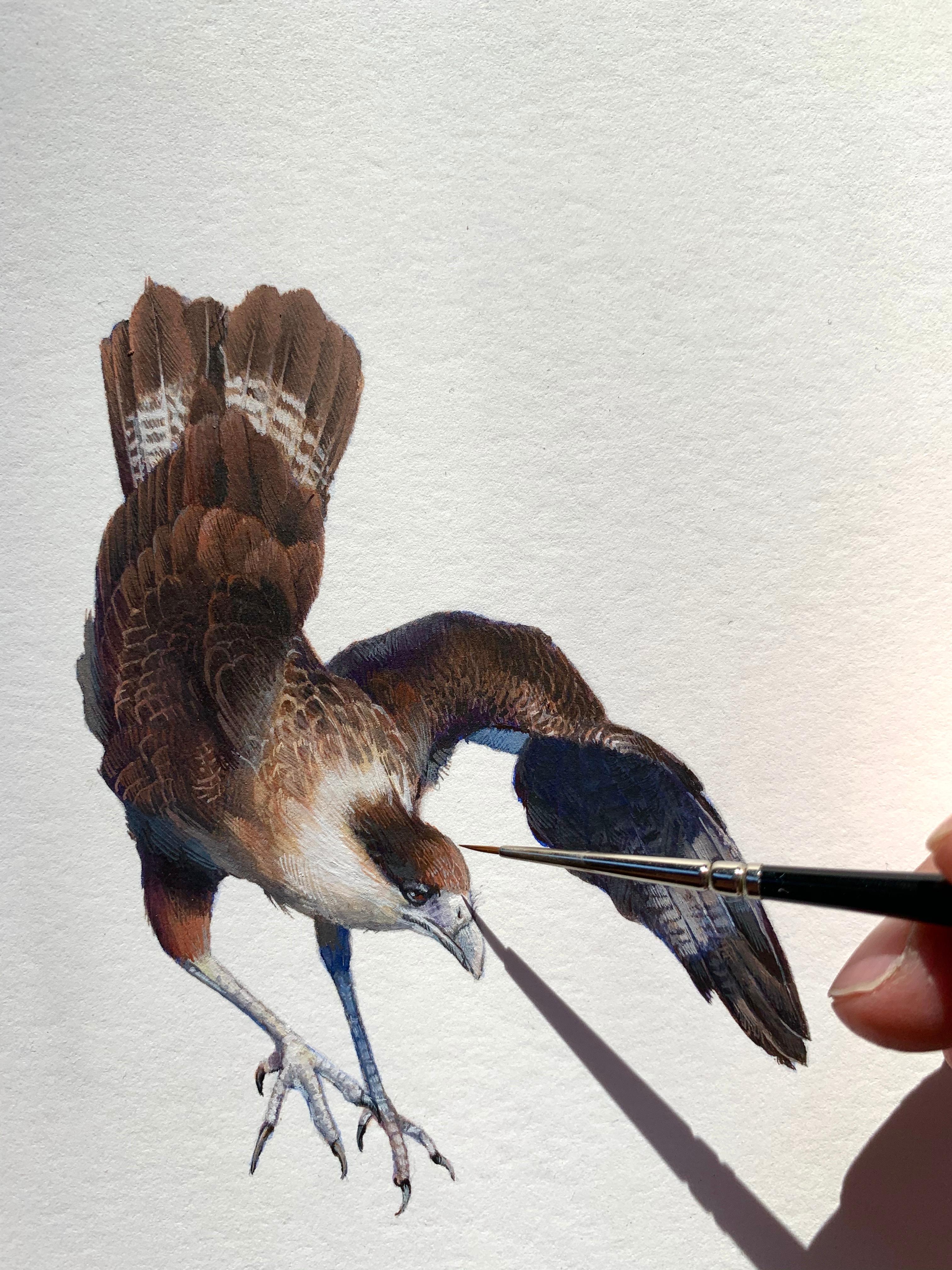 Dina Brodsky, Crested Caracara, miniature réaliste de portrait d'animal à la gouache, 2019 en vente 1