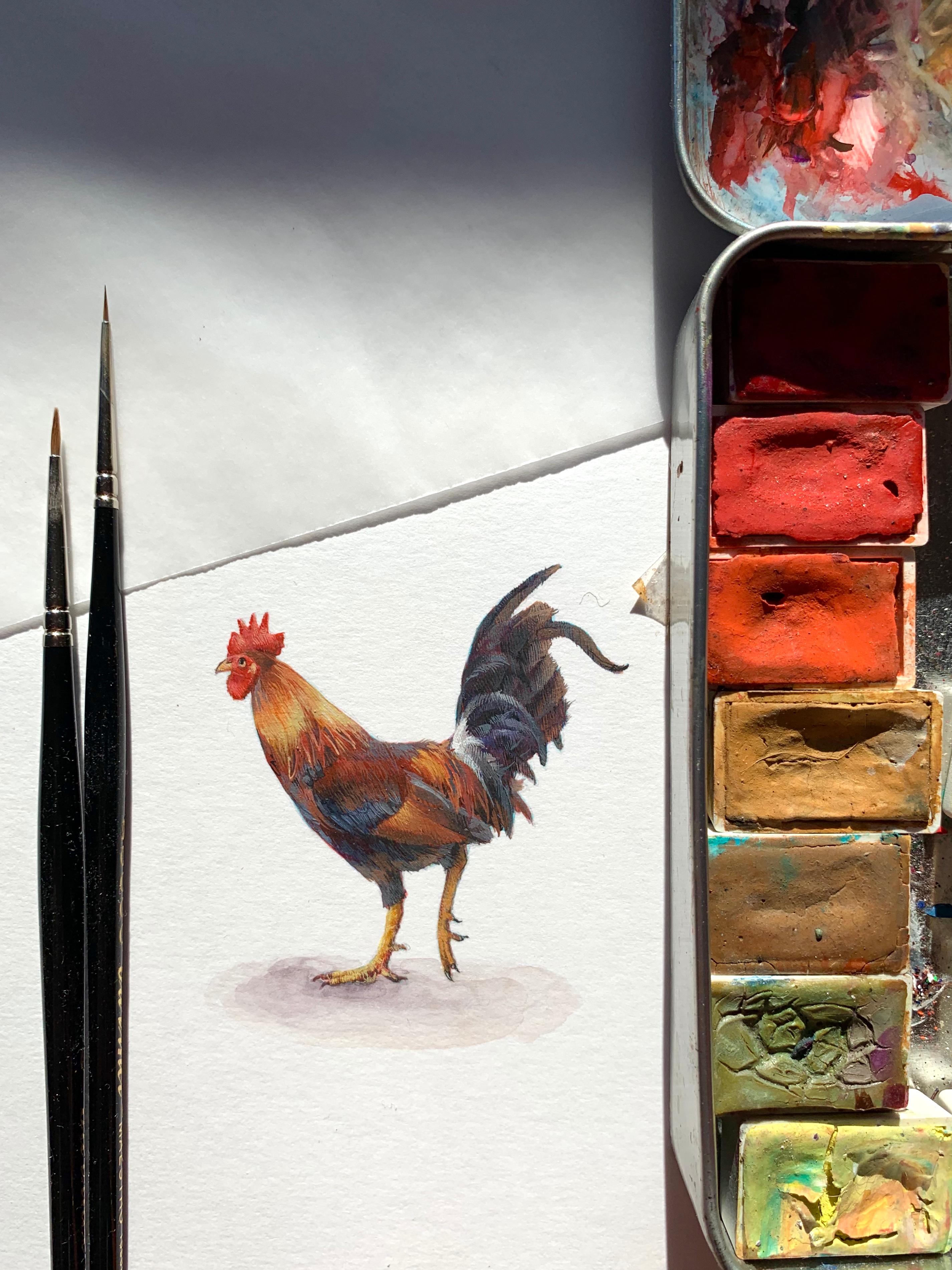 Dina Brodsky, Little Rooster, portrait miniature d'animal réaliste à la gouache, 2019 en vente 2