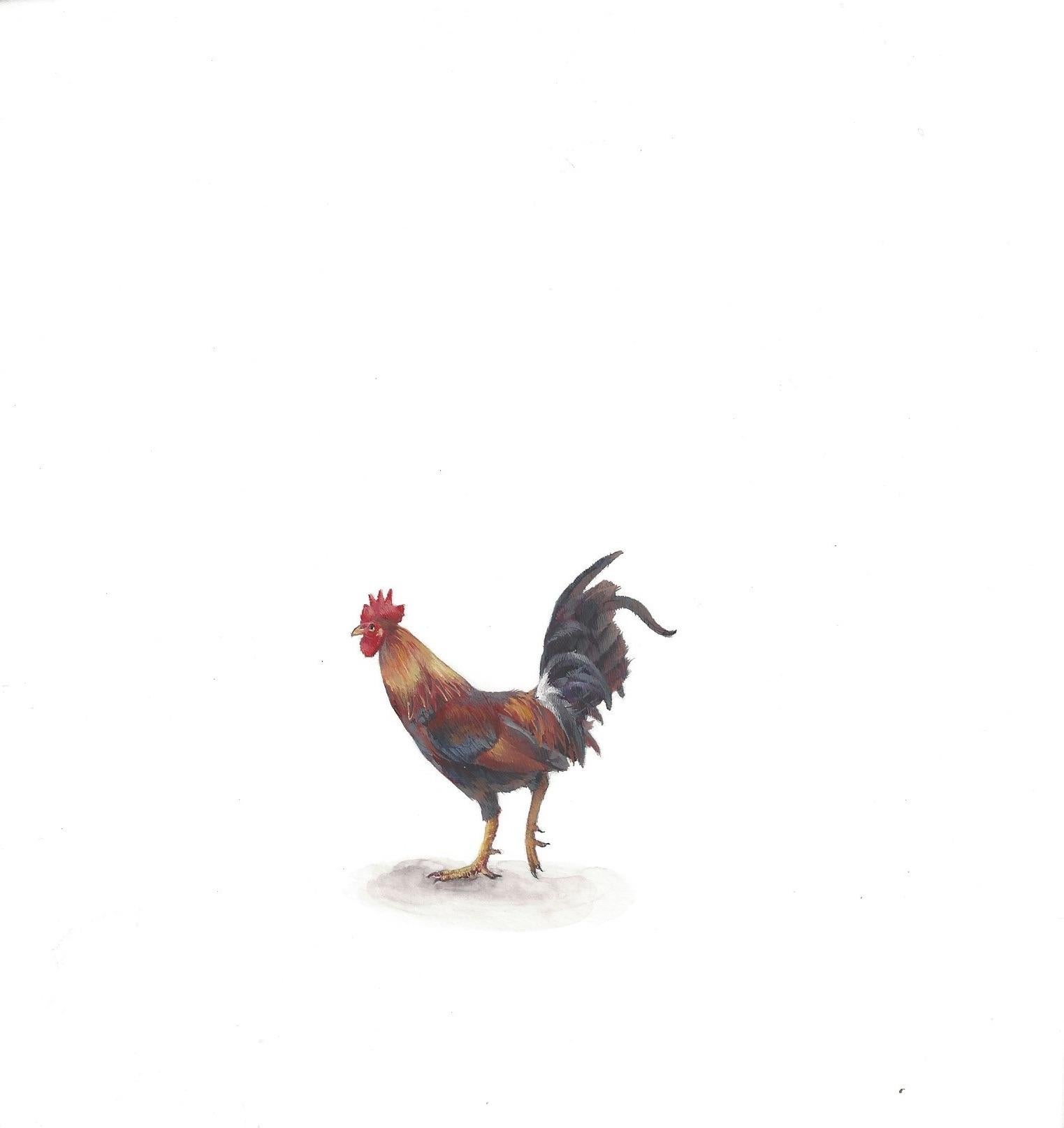 Dina Brodsky, Kleiner Hahn, realistisches Miniatur-Tierporträt aus Gouache, 2019