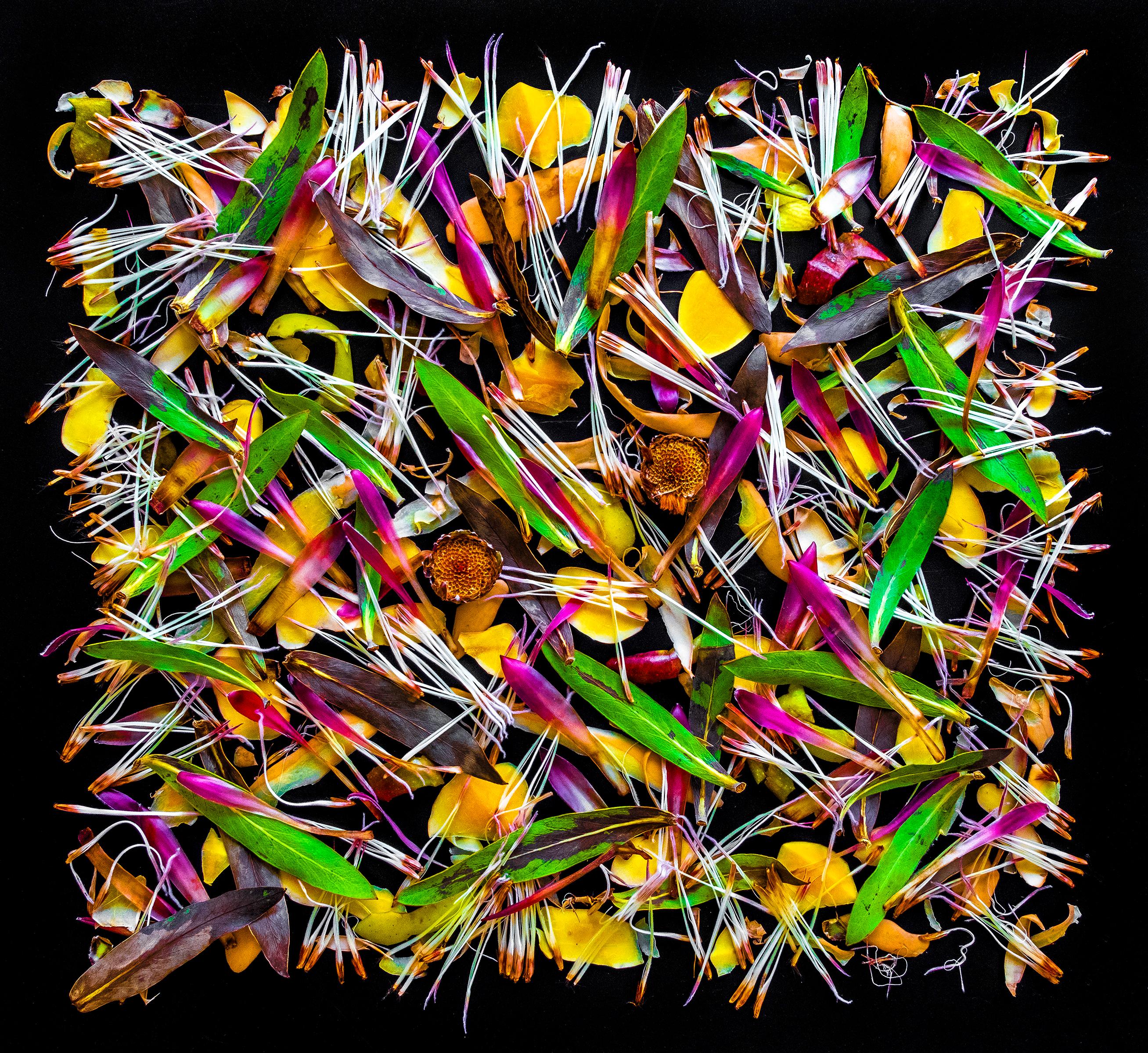 Sarah Phillips Color Photograph - Petals and Peels, multicolored patterned absurdist still life food photograph