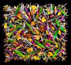 Petals and Peels, multicolored patterned absurdist still life food photograph