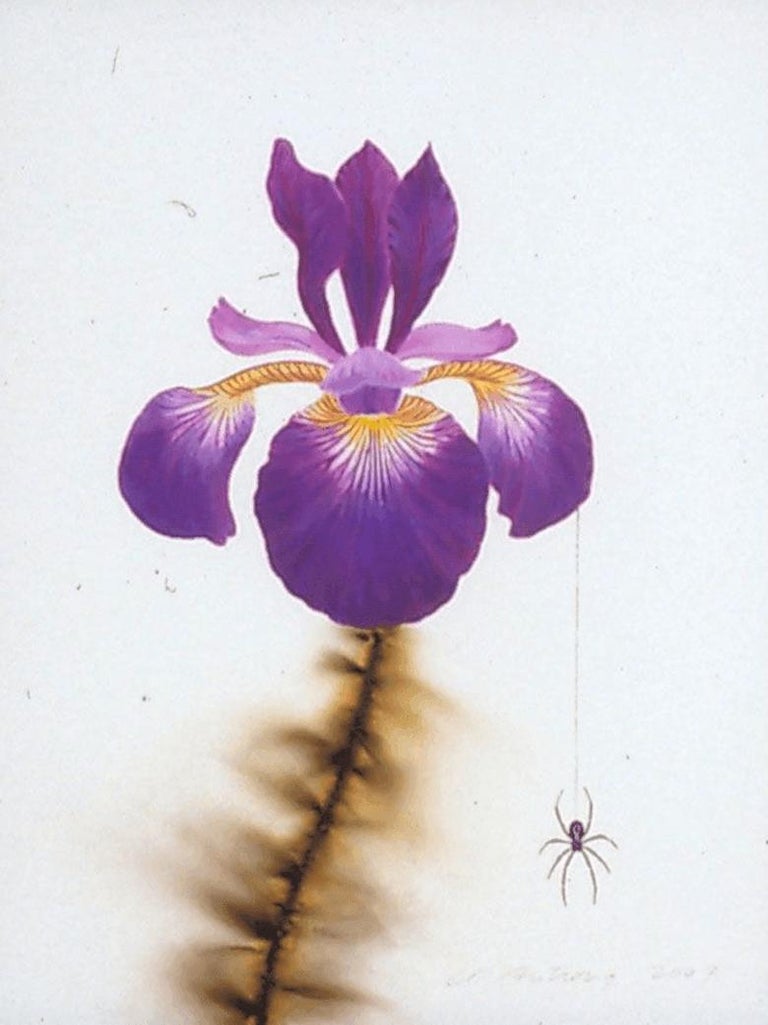 L C Armstrong L C Armstrong Iris And Spider Pop Art Floral