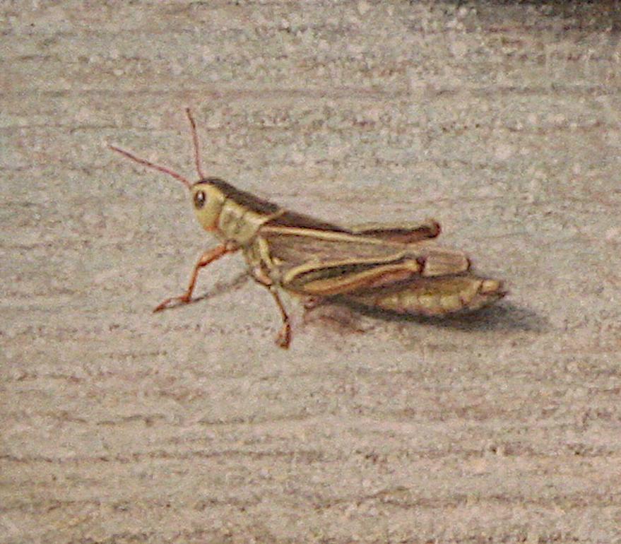 Gala and Grasshoppers, surreal egg tempera still life nature painting - Painting by Douglas Safranek
