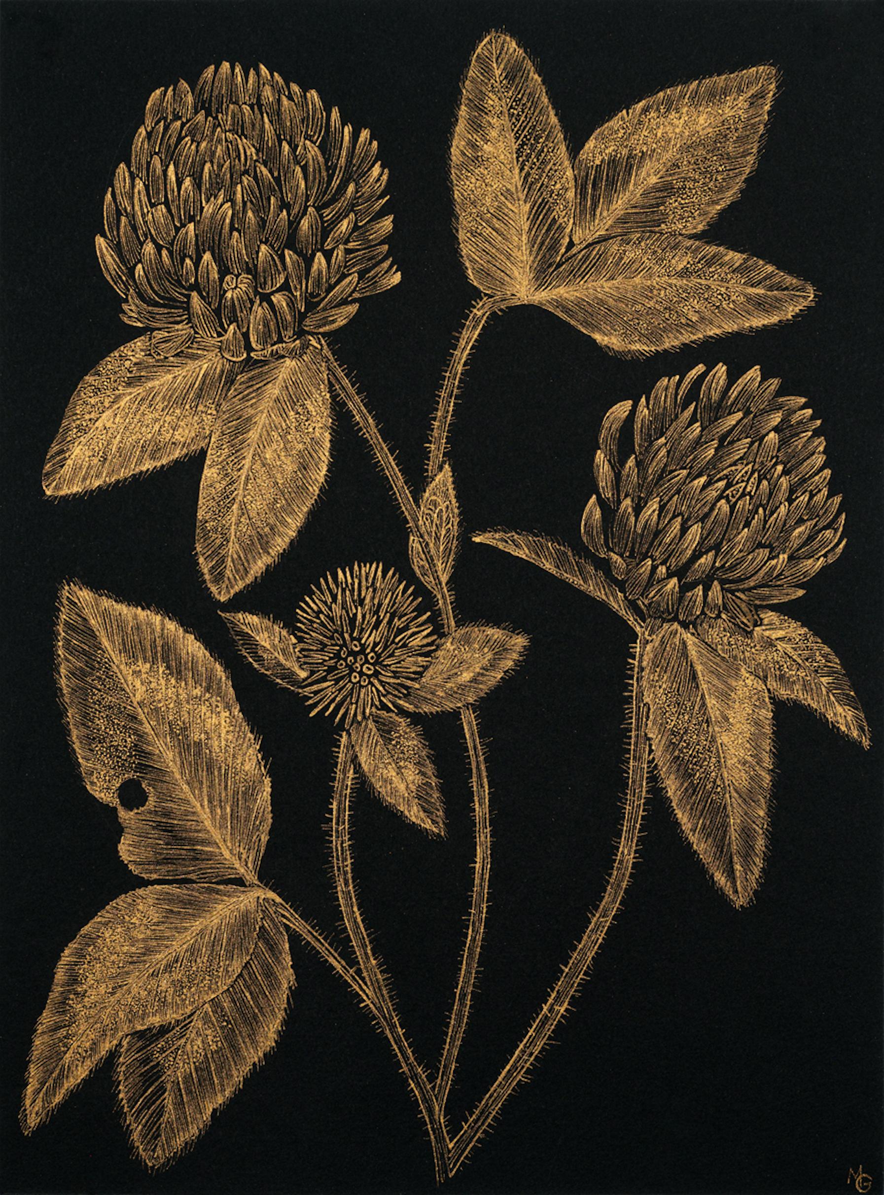 Margot Glass Still-Life - Red Clover #3, gold ink and black botanical still life drawing, 2020