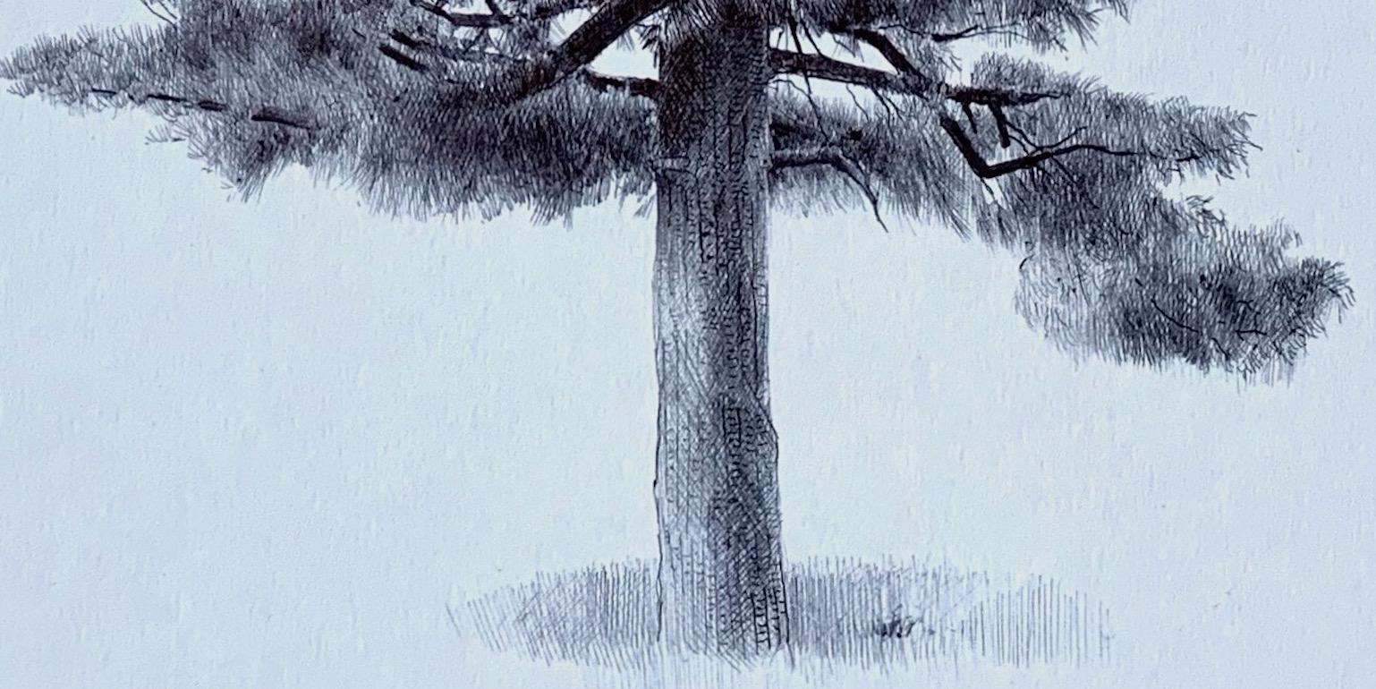 Ohne Titel (Spiraling Tree), realistische Ballpoint-Bleistift-Stilllebenzeichnung, 2020 – Art von Dina Brodsky