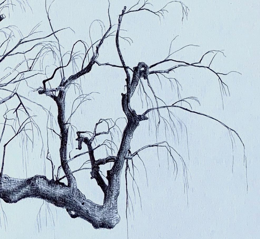 Ohne Titel (Spirit Tree), realistische Kugelschreiber-Stilllebenzeichnung mit Kugelschreiber, 2020 (Realismus), Art, von Dina Brodsky