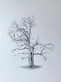Untitled (Lightning Tree), realist ballpoint pen still life drawing, 2020