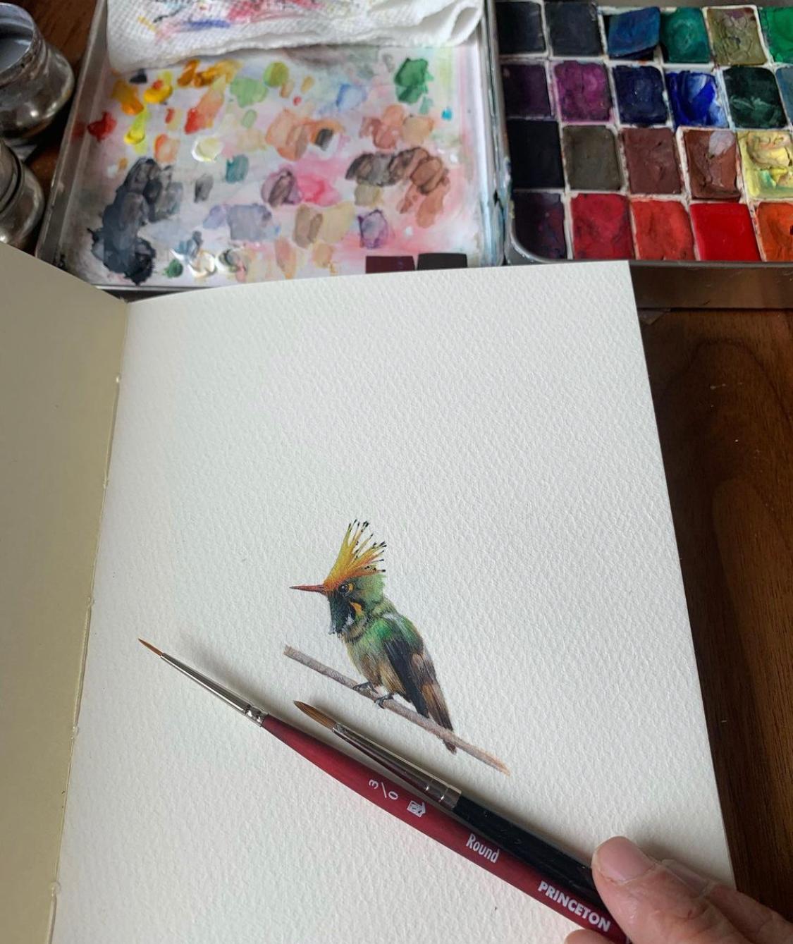 Rufus Crested Coquette, realist gouache miniature bird portrait, 2020 - Art by Dina Brodsky