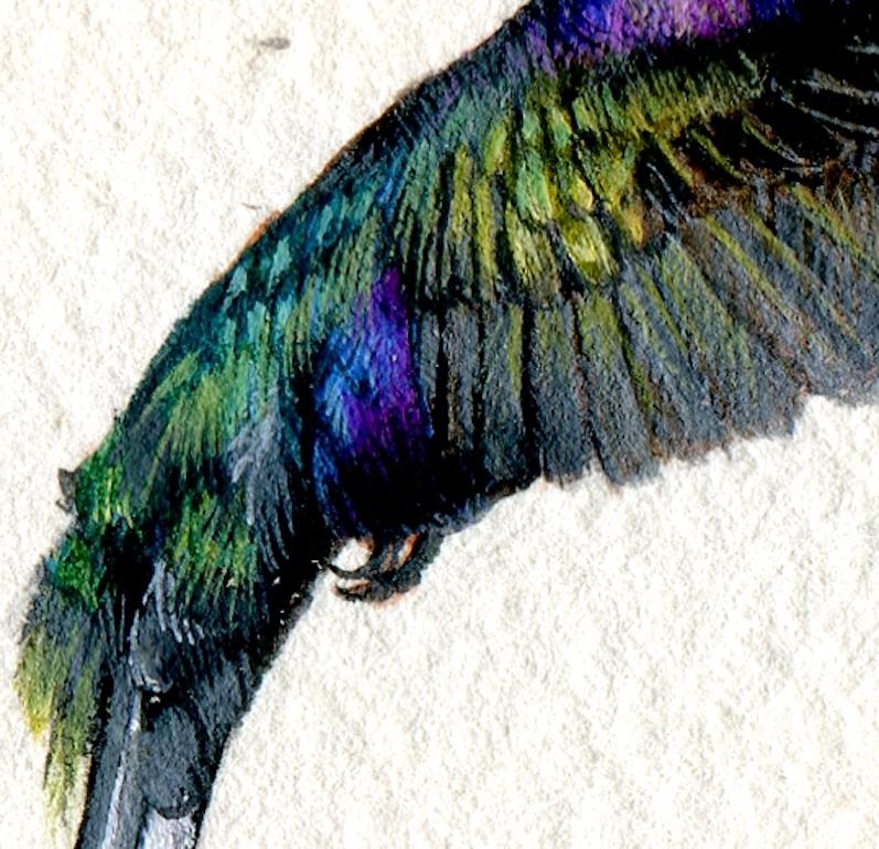 Violet Saberwing, gouache realista sobre papel retrato de ave en miniatura, 2020 - Art de Dina Brodsky