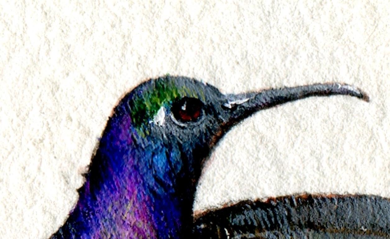 Violet Saberwing, gouache realista sobre papel retrato de ave en miniatura, 2020 - Art Realista de Dina Brodsky