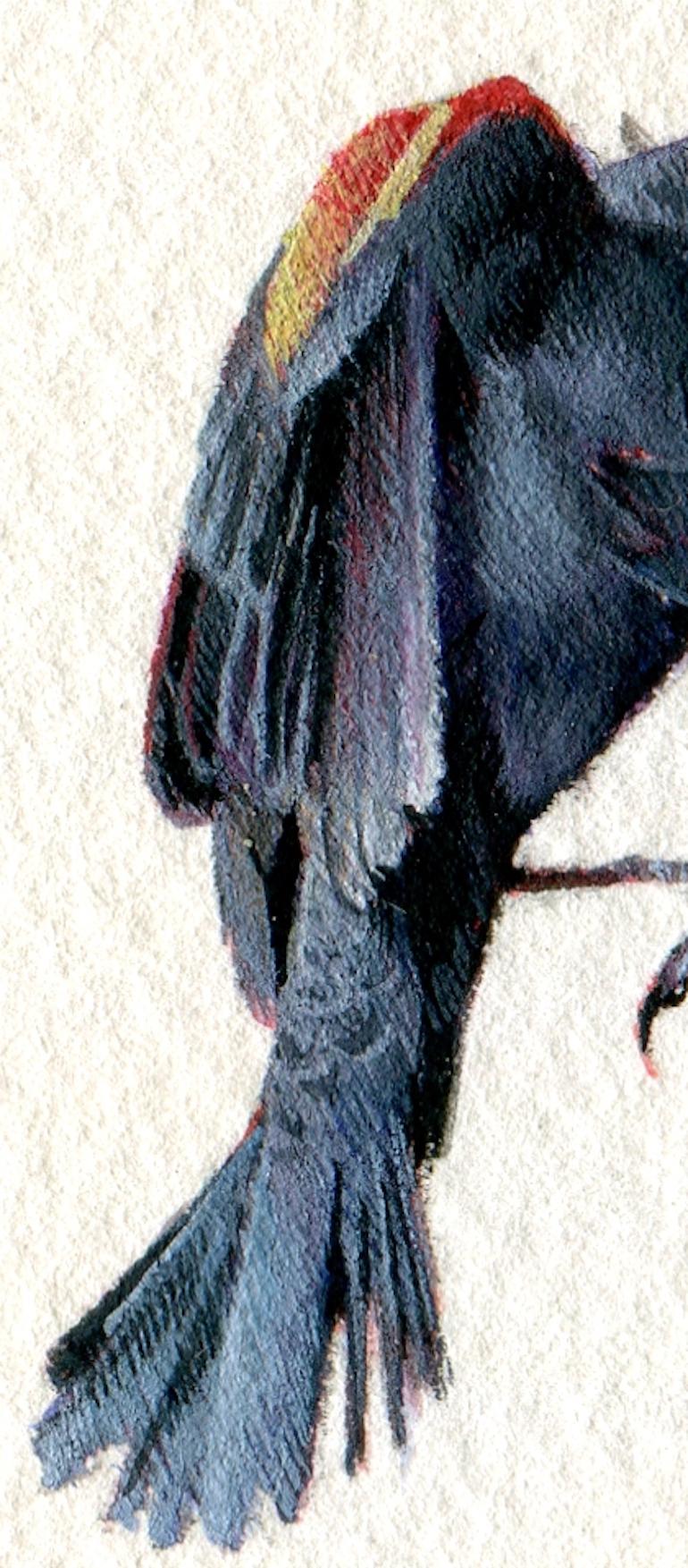 Red-Winged Blackbirds, realist gouache on paper miniature bird portrait, 2020 - Art by Dina Brodsky