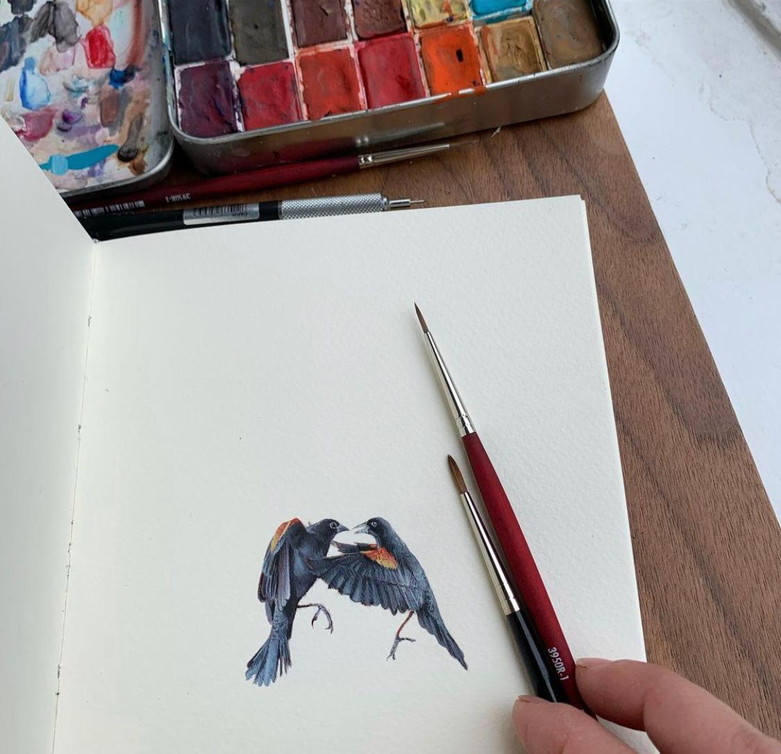 Rot geflügelte schwarze Vögel, realistisches Miniatur-Vogelporträt in Gouache auf Papier, 2020 (Weiß), Portrait, von Dina Brodsky